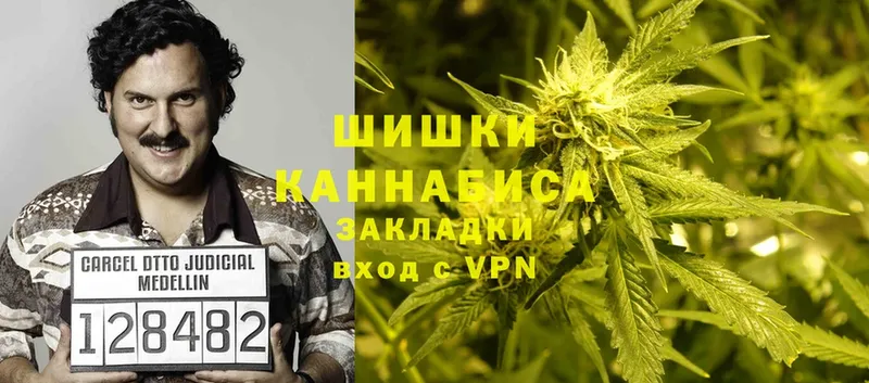 omg как зайти  Болхов  Шишки марихуана Ganja 